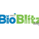Audubon International BioBlitz