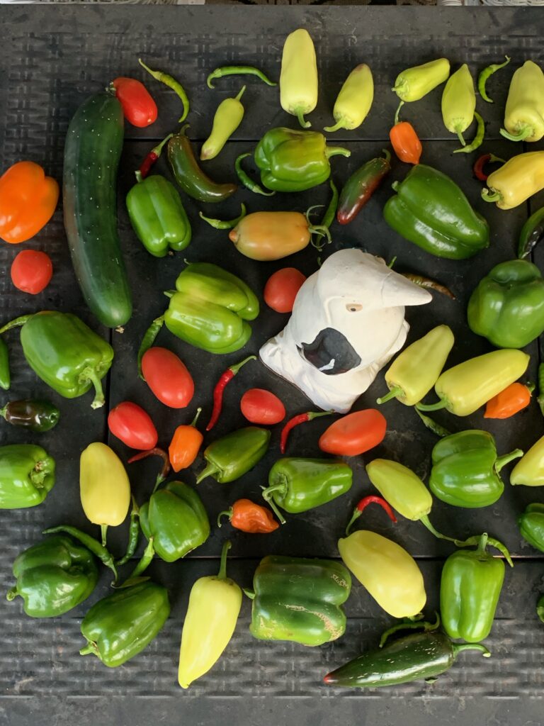 Pepper mix grown by Mike Wentz