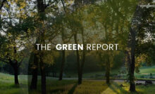 Syngenta Golf-The Green Report