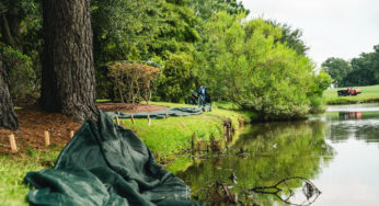 Transform Your Property with Low‑Impact Development: Sustainable & Stylish Stormwater Solutions