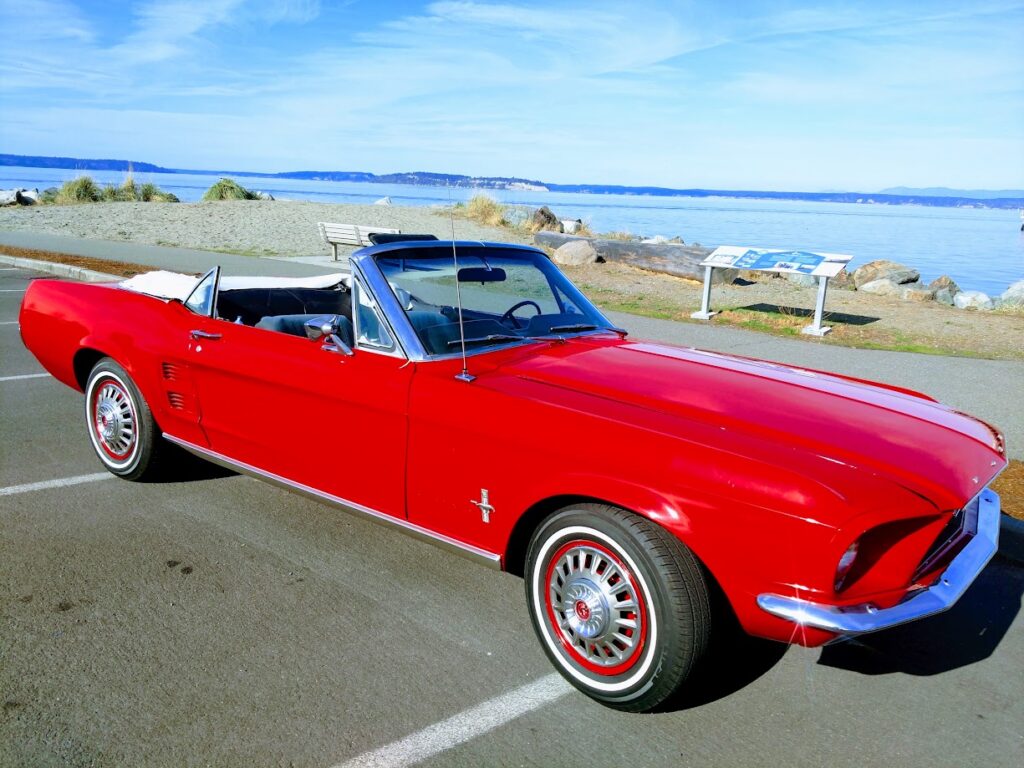 Dan's 1967 Mustang