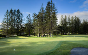 Sullivan County Golf Club - Putting Course