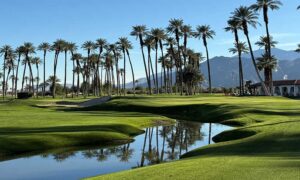 The Palms Golf Club