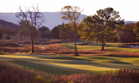 Sweetens Cove Golf Club Hole 4 King